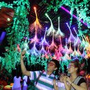 무주반딧불투어 이미지