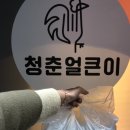 청춘얼큰이 이미지