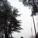 창영목장 이미지