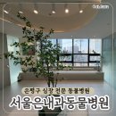 한남심장내과동물병원 | 은평구 고양이 동물병원 추천 | 심장 전문 병원 서울은내과동물병원 방문 후기