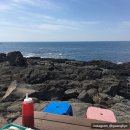 팔도민박 이미지