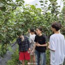 수신초등학교 이미지