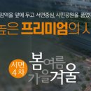서면4