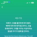한국장어 이미지
