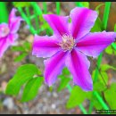 기복농장 이미지