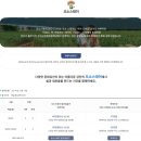 강진스테이오소 이미지