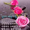 ☔️ 장마철의 기도 이미지