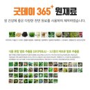 굿데이365 이미지