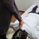 스포츠 마사지 & 바른체형지도사 이미지