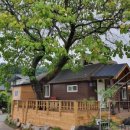 오동나무민박 이미지