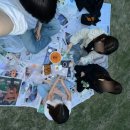 피크닉(picnic)