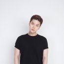 젤로 이미지