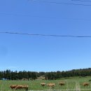 승혁 농장 이미지