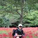 구월이십일 이미지