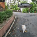별빛공원 배드민턴장