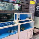 성수횟집 이미지