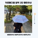 카르페디엠 | 더운 여름 필수템, 카르페디엠 암막우산 사용후기 (패턴예쁜 암막3단우산)