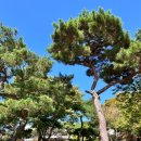 인천국제골프연습장 | 인천 국제CC 연습장 인천 야외연습장 후기(주차, 가격, 전장, 대기시간)