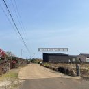 에쏘드립향기로운카페 | 제주 | 서귀포시 | 산방산을 보면서 향기로운 커피한잔 "패스부르" 핸드드립카페 후기