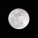 송당송당 이미지