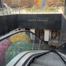 원별 | 🌈 메종드아나하 견적 공유 (2027년 상반기) 강남 웨딩홀단독홀 장단점 솔직후기