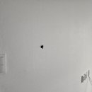 일진뜨리에아파트 이미지