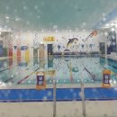 수원시녹색교통회관 수영장 이미지