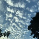 두근두근하우스 in 성산 이미지