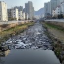 가음정천 이미지