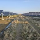 광주태양광발전소 | 광주전남 태양광발전소 양도양수 전문부동산 ***-****-****