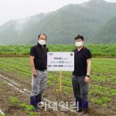 정식품베지밀김제