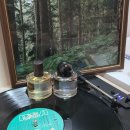 7269 | 입구 이색데이트, 향수공방 웨어롬, 샤로수길 실내 데이트 추천, 나만의 향수만들기 언니찬스 솔직후기