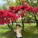 신상록어린이집 이미지