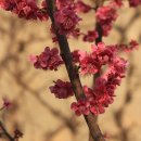 신답역(2) 이미지