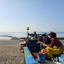 장고도4 이미지