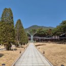 지리산정원 유아숲체험원 이미지
