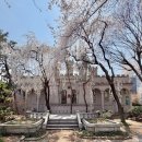 동화다방 | 수원 벚꽃 대형카페 수원빵다방A 아기랑 함께 가기 좋은 곳
