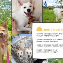 [최종] 2025년 행복한유기견세상 캘린더가 완성됐습니다💛 이미지