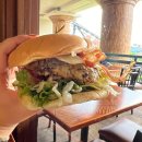 킹콩놀이샵 | [올랜도 여행 3편]유니버셜 스튜디오 플로리다 1DAY｜롤코·버거·굿즈까지 알차게!