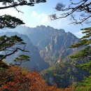 상주황씨대사헌종친회 | 원주의 역사 인물 - 인열왕후
