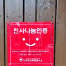 황우동 - 창원시 마산합포구 합포로 131 | 황우동
