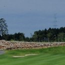 거제뷰 골프텔 이미지