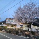 노을 펜션 민박 이미지