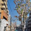 슈퍼맨반점 | [Tour] #4.부럽트래블 어린이도슨트 후기,#3.일본국립과학박물관/#182.마이리얼트립 어린이 도슨트 후기...