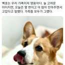 새벽 이미지
