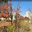 유타워공인중개사사무소 이미지