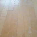 분당-184 이미지