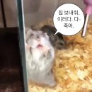 [SSAFY] 2학기 공통 프로젝트 후기