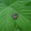 영성어린이집 이미지