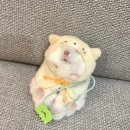 인성 이미지